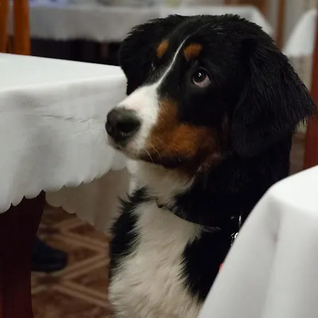 Θέρετρο Ow Patryn